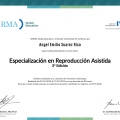 Ampliar imagen: certificate 3