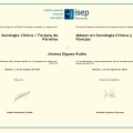 Ampliar imagen: certificate 1