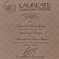 Ampliar imagen: certificate 3
