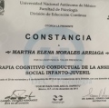 Ampliar imagen: certificate 2