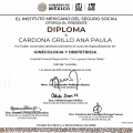 Ampliar imagen: certificate 1