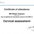 Ampliar imagen: certificate 5