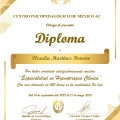 Ampliar imagen: certificate 6