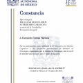 Ampliar imagen: certificate 6