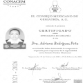 Ampliar imagen: certificate 4