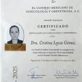 Ampliar imagen: certificate 1