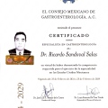 Ampliar imagen: certificate 2