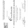 Ampliar imagen: certificate 7