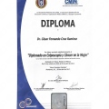 Ampliar imagen: certificate 3