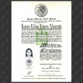 Ampliar imagen: certificate 3