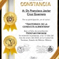 Ampliar imagen: certificate 40