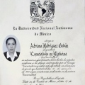 Ampliar imagen: certificate 2