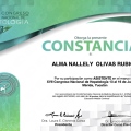 Ampliar imagen: certificate 7