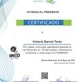 Ampliar imagen: certificate 3