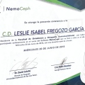 Ampliar imagen: certificate 8