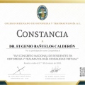 Ampliar imagen: certificate 21