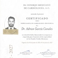 Ampliar imagen: certificate 4