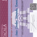 Ampliar imagen: certificate 5