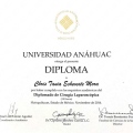 Ampliar imagen: certificate 4