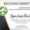 Ampliar imagen: certificate 5