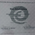 Ampliar imagen: certificate 3