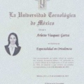 Ampliar imagen: certificate 5