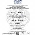 Ampliar imagen: certificate 4