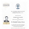 Ampliar imagen: certificate 2