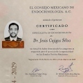 Ampliar imagen: certificate 1