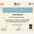 Ampliar imagen: certificate 3