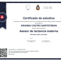Ampliar imagen: certificate 3