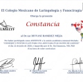 Ampliar imagen: certificate 17