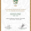 Ampliar imagen: certificate 4