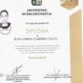 Ampliar imagen: certificate 3