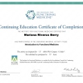 Ampliar imagen: certificate 3