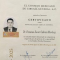 Ampliar imagen: certificate 1