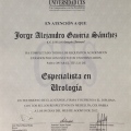 Ampliar imagen: certificate 3