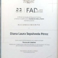 Ampliar imagen: certificate 12