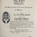 Ampliar imagen: certificate 7