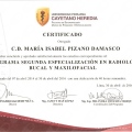 Ampliar imagen: certificate 6