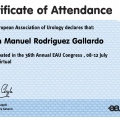 Ampliar imagen: certificate 6