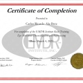 Ampliar imagen: certificate 2