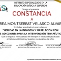 Ampliar imagen: certificate 7