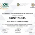 Ampliar imagen: certificate 8