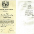 Ampliar imagen: certificate 5