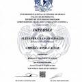 Ampliar imagen: certificate 4