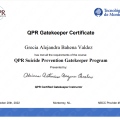 Ampliar imagen: certificate 3