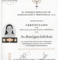 Ampliar imagen: certificate 4
