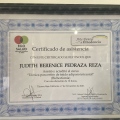 Ampliar imagen: certificate 4