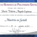 Ampliar imagen: certificate 7